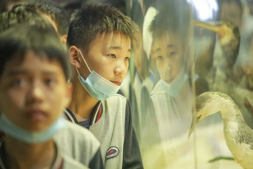 坎墩中學：科技擁抱自然，自然創造文化