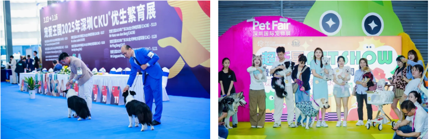 漫走設(shè)計 | 解鎖第13屆深圳國際寵物展 共探寵業(yè)新未來